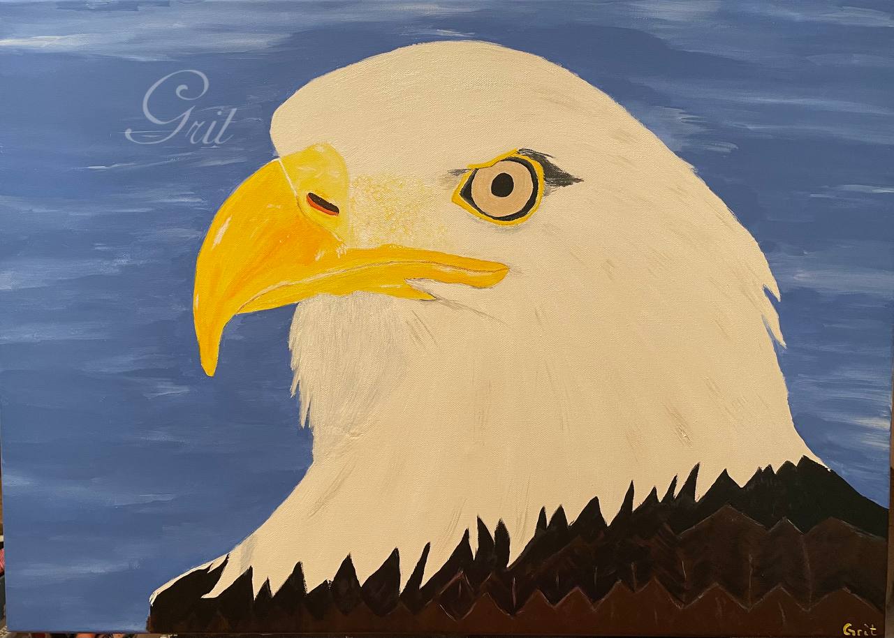 Weißkopf-Seeadler