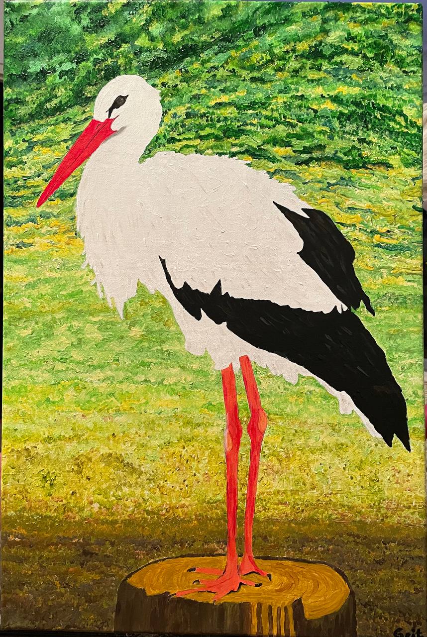 Storch